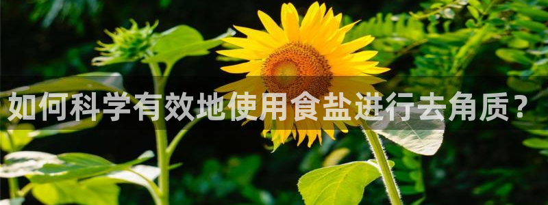 威九国际78M.APP