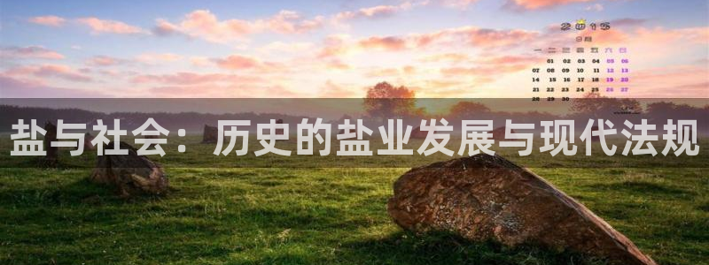 威九国际的女主