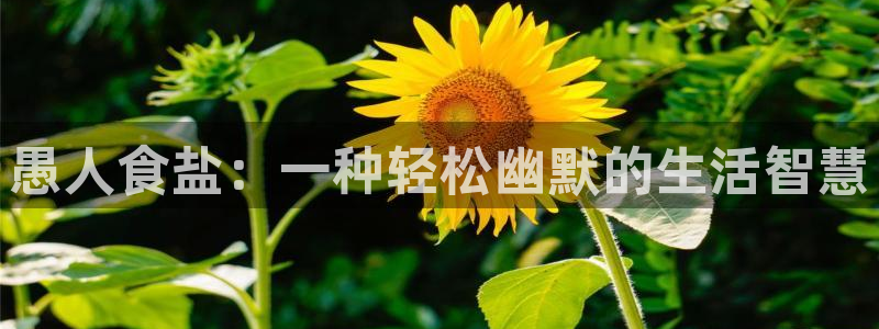 威九国际官网登录入口网站