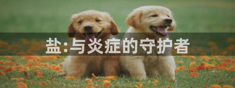 威九国际风情万种