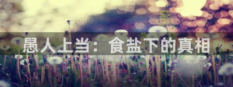 威九国际空降服务怎么样