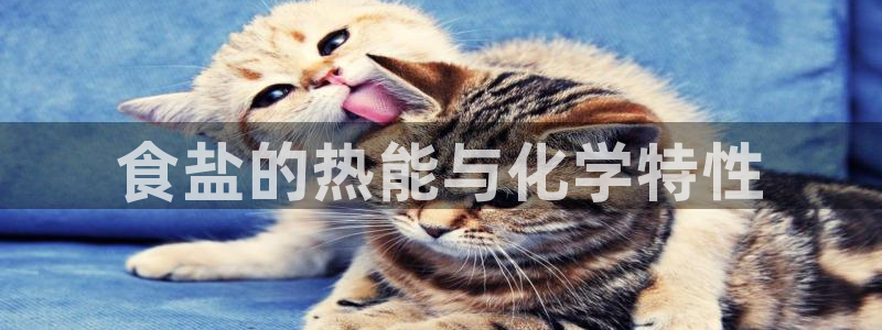 威九国际客服电话号码是多少