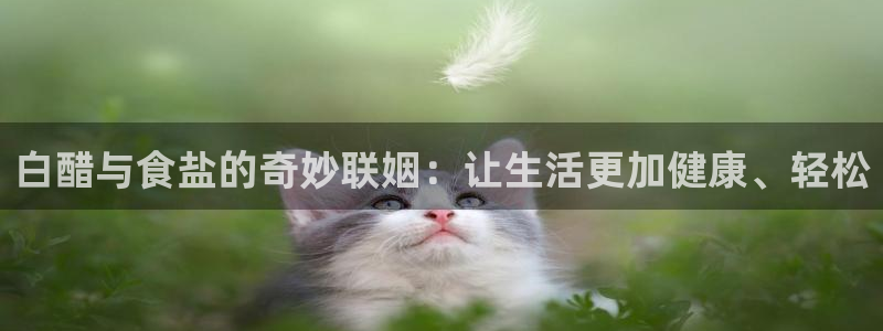 威九国际app客服电话号码