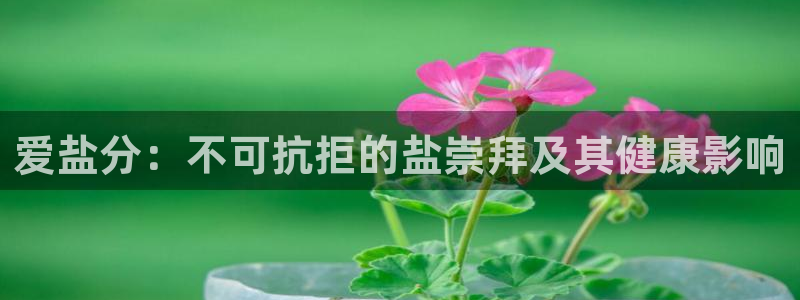 78mapp威九国际成全视频