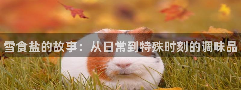 威九国际如何下载