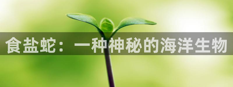 威九国际精修! #手机使用技巧