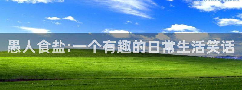 威九国际旗下艺人