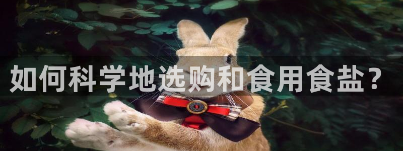 威九国际官网登录入口下载