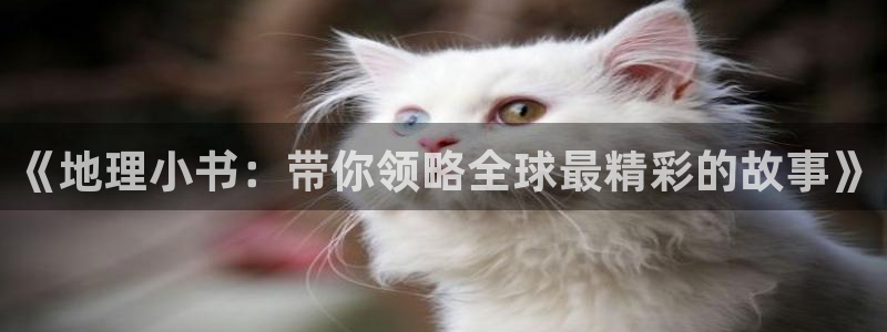 辣文小说txt下载