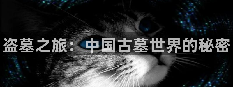 h文辣文小说网