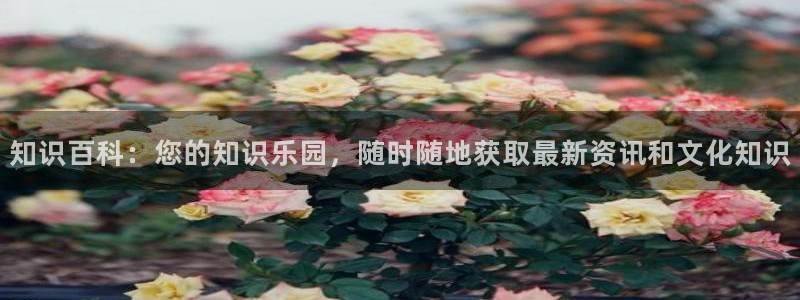 第一版主网站辣文小说网
